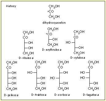 ketosy.gif